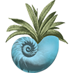 Seabrook Island Shell-Only Logo
